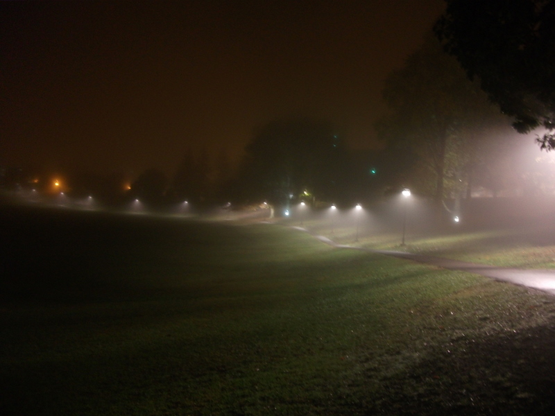 Downward-facing lights make cones of illuminated fog on the College Hall walkway