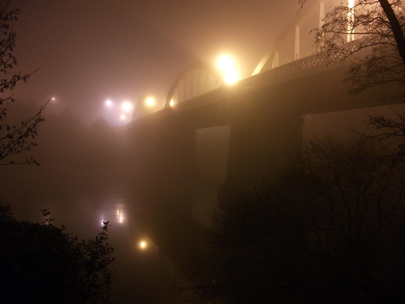 Fairfield Bridge, Hamilton