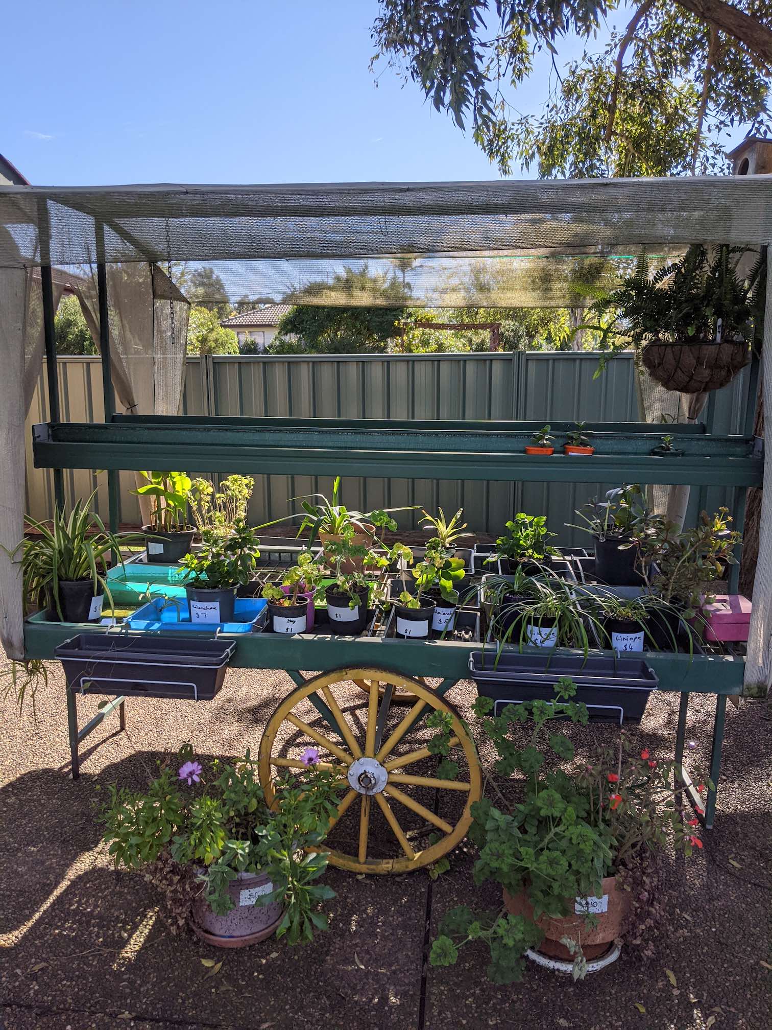 A front yard wagon full of plants for sale, individually priced.