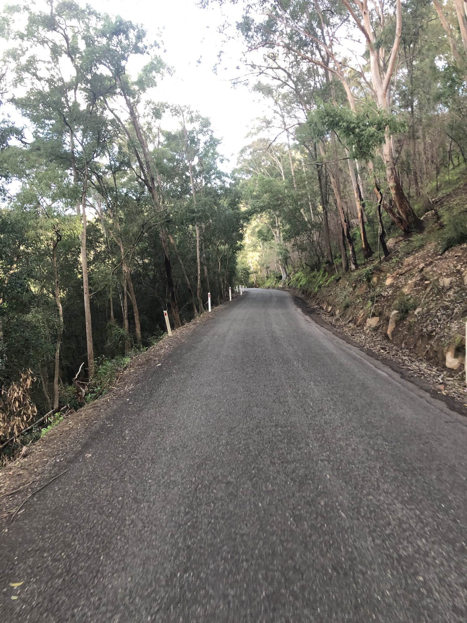 Narrow road winding through Australian bush.