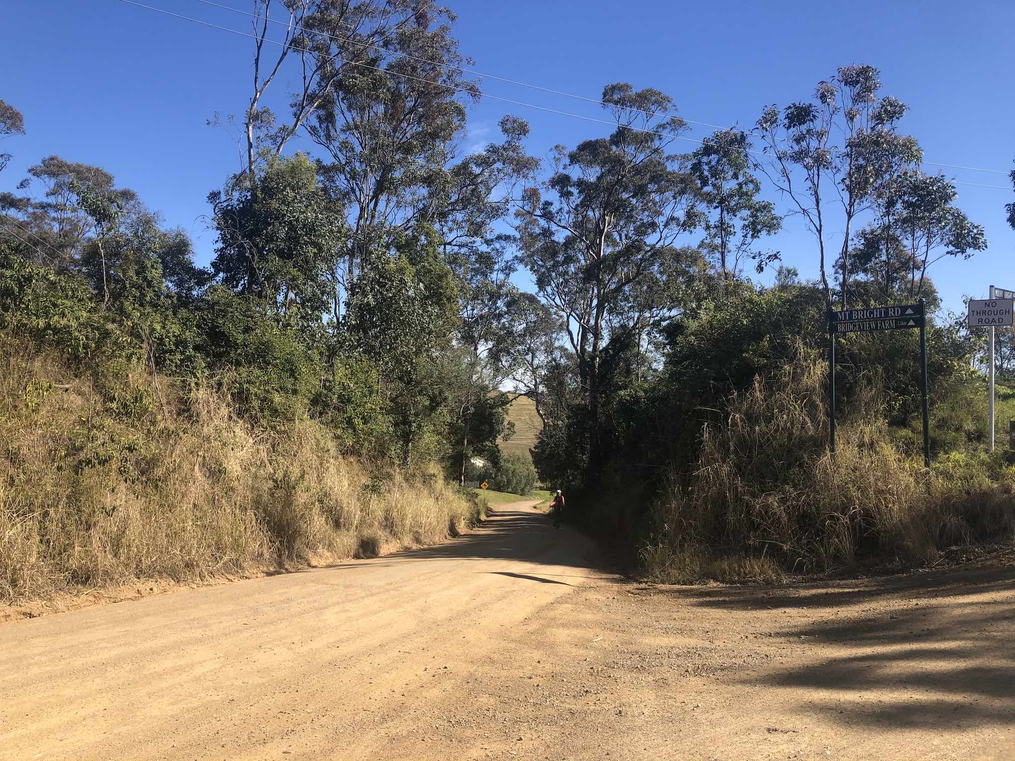 Narrow dirt road going uphill.