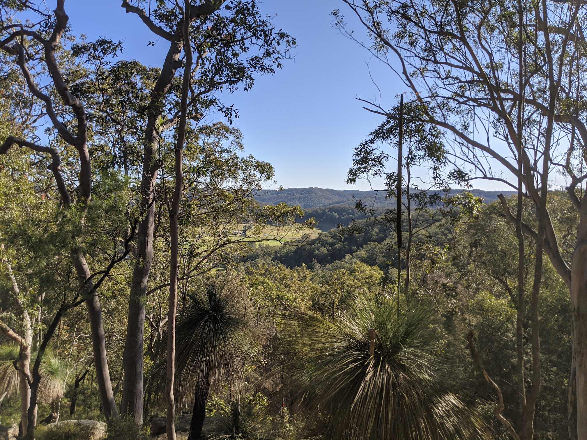 View through trees, hills in the distance, green field center.