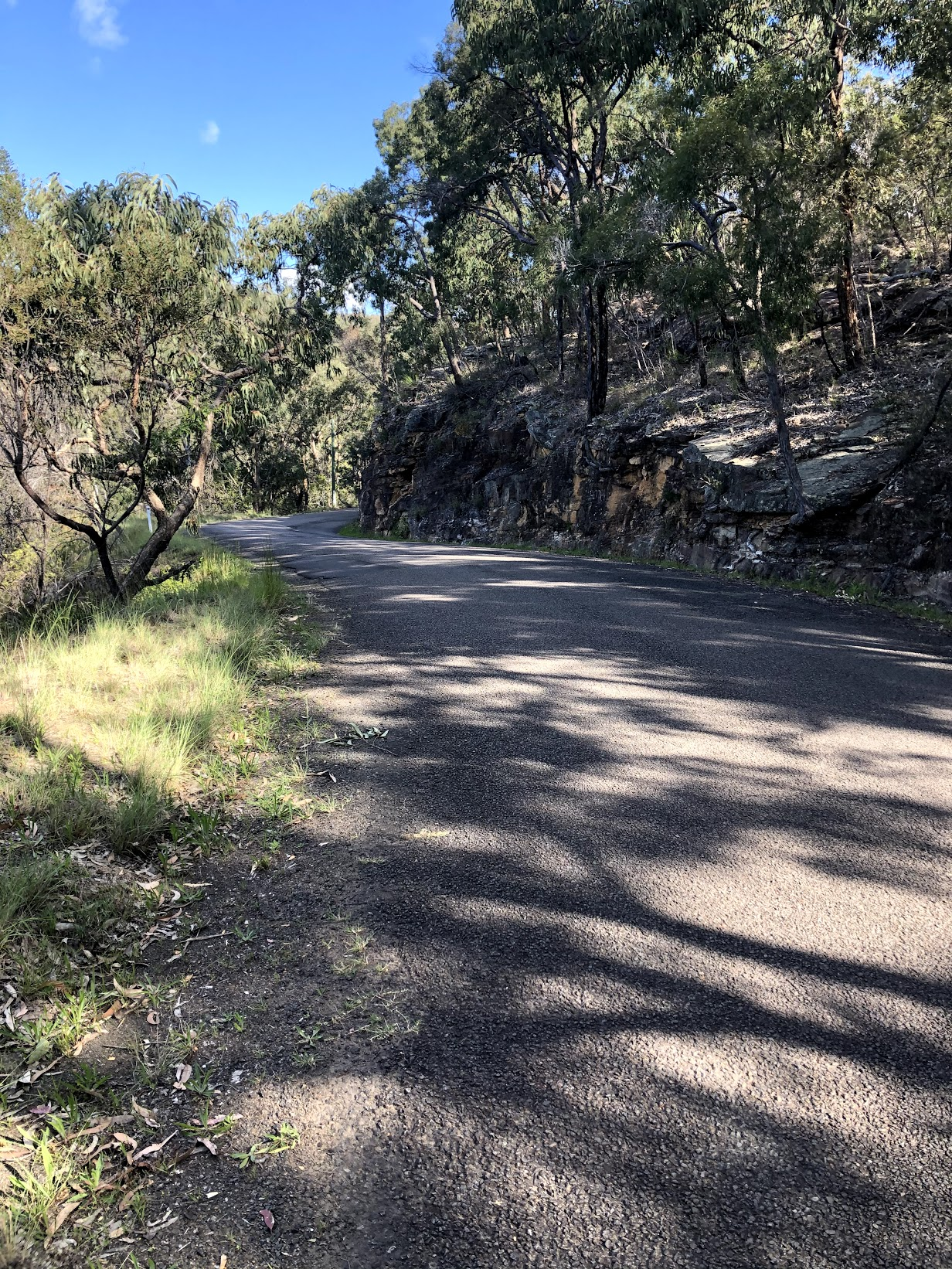 Narrow sealed road, veering right along a cliff face .Trees dot either side.