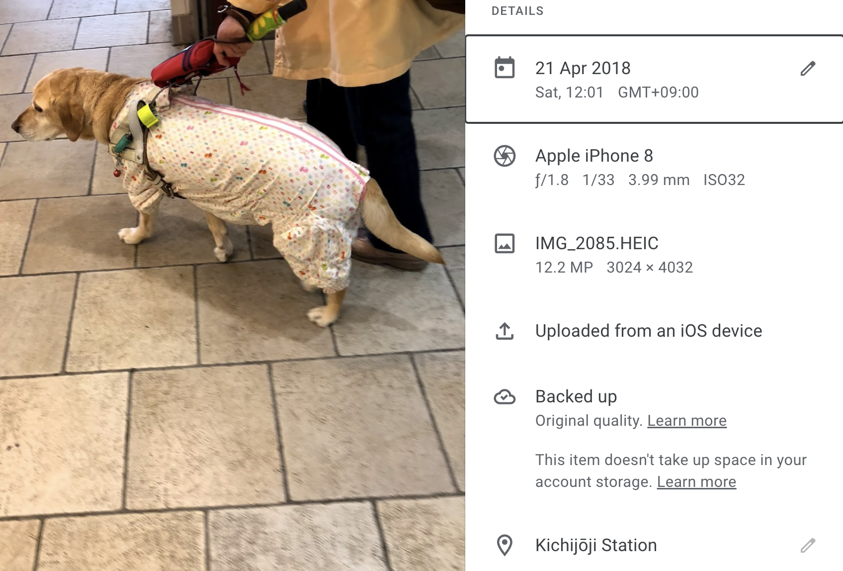 A photo of a dog labrador in a jacket at a train station. Date is editable, location is editable.